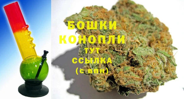 бошки Алексин