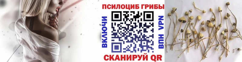 omg зеркало  Дно  Галлюциногенные грибы Magic Shrooms 